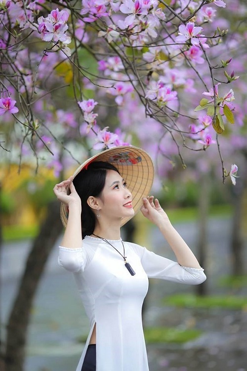 Hoa ban được trồng nhiều trên các con phố Hà Nội và thu hút các bạn trẻ.